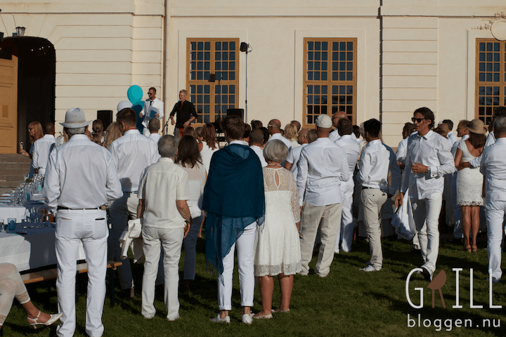 annika och rickard sjoberg bröllop sommarfest vigsel