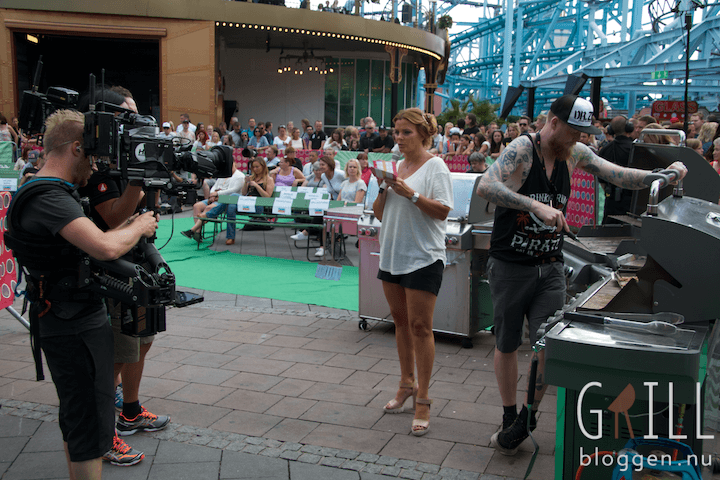 sommarkrysset grill 66