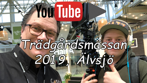 trädgårdsmässan YT 600