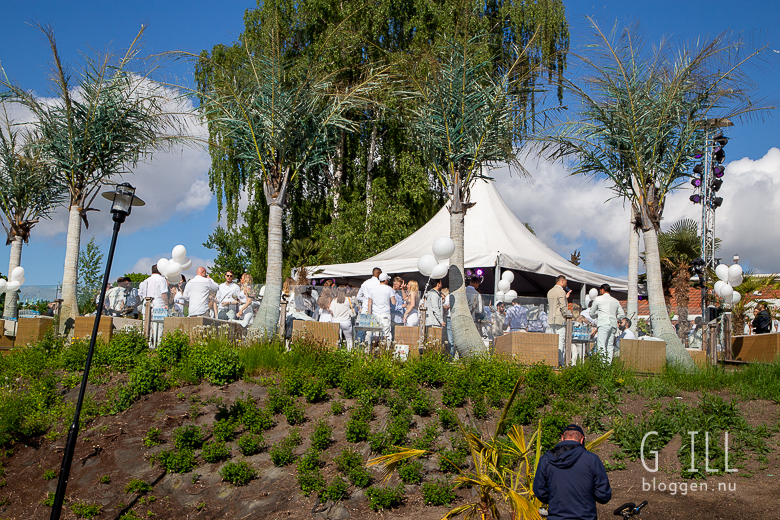 grillmassan 2019 IMG 7456 Musiken från White Party på Josefinas förgyllde Grillmässan under lördagen.